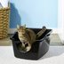 The 9 Best Cat Litter Box Options, According to Our Pet Expert