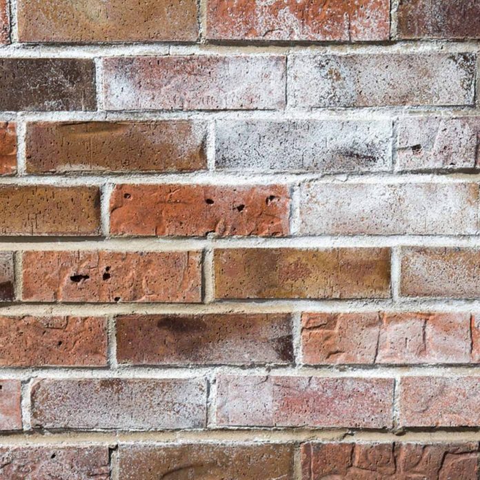 Efflorescence