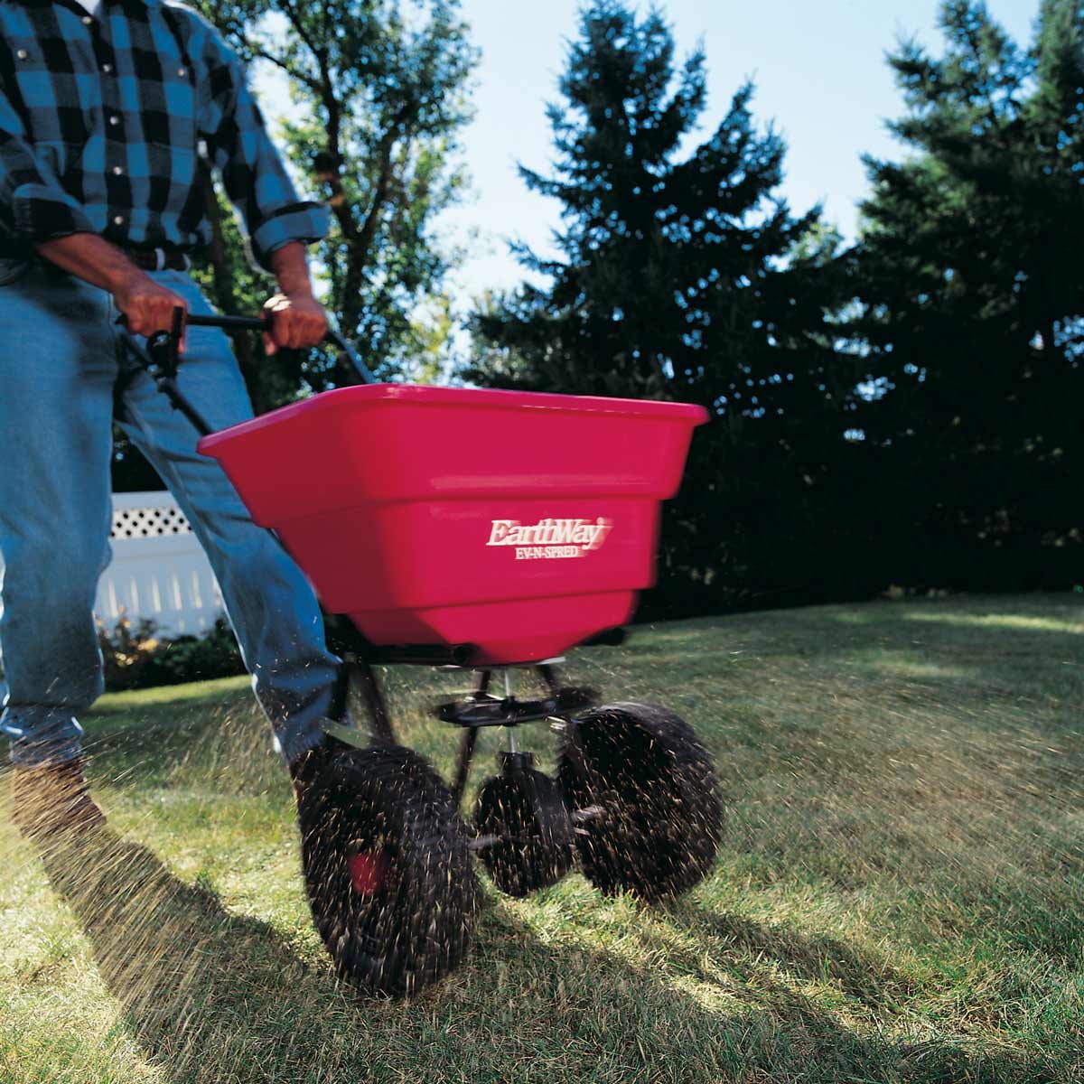 Feed the Lawn