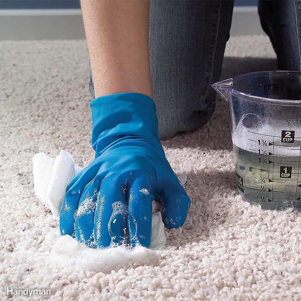 Clean Up Pet Accidents