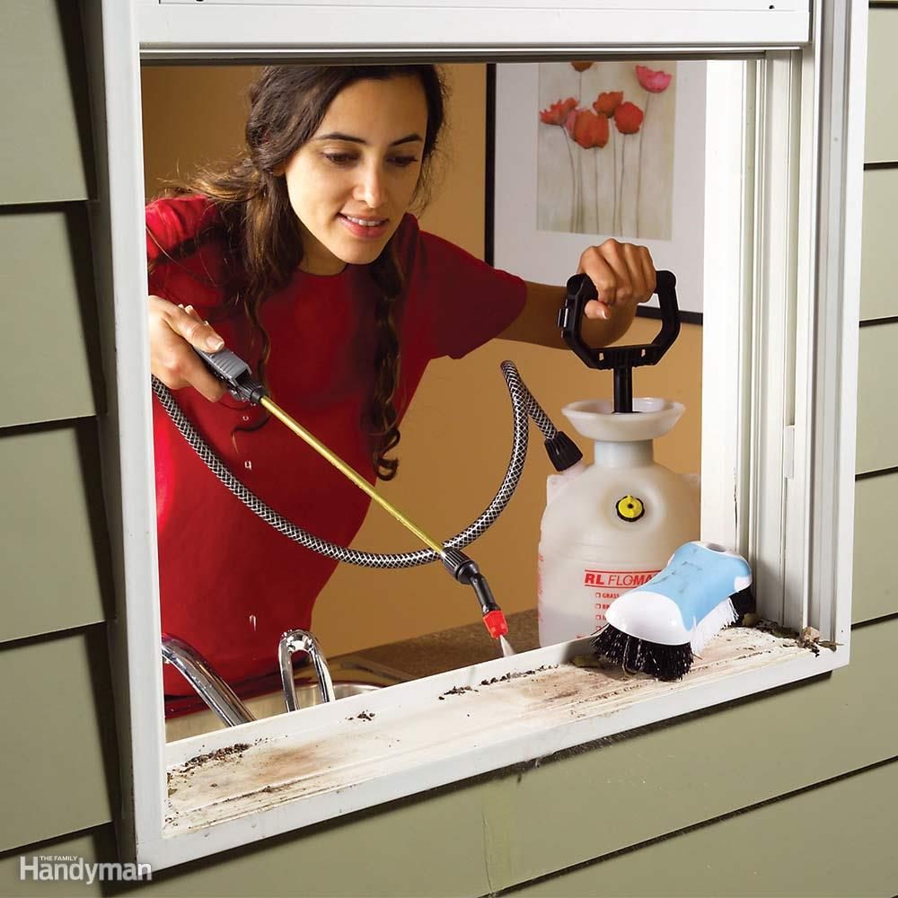 Mini Power Washer