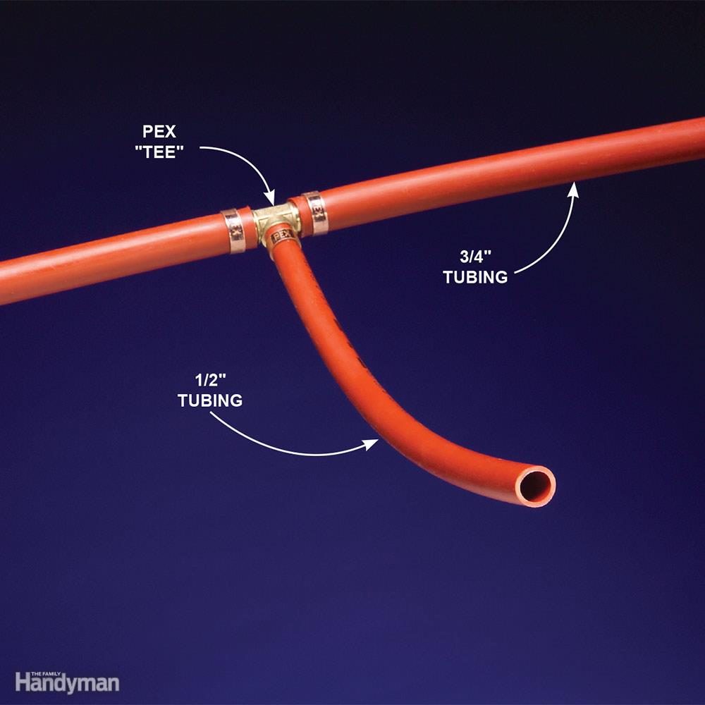 FH07FEB_PLUPEX_02