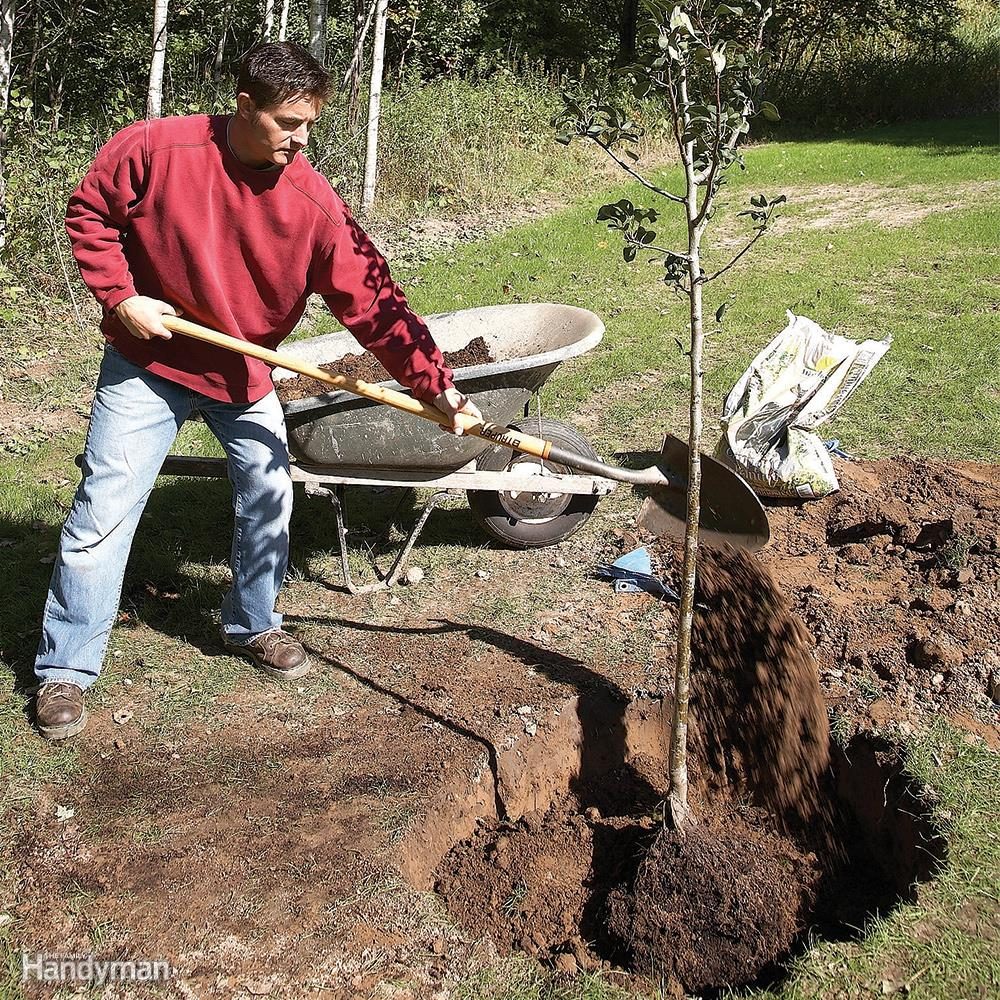 Backfill With the Dirt You Took Out of the Hole