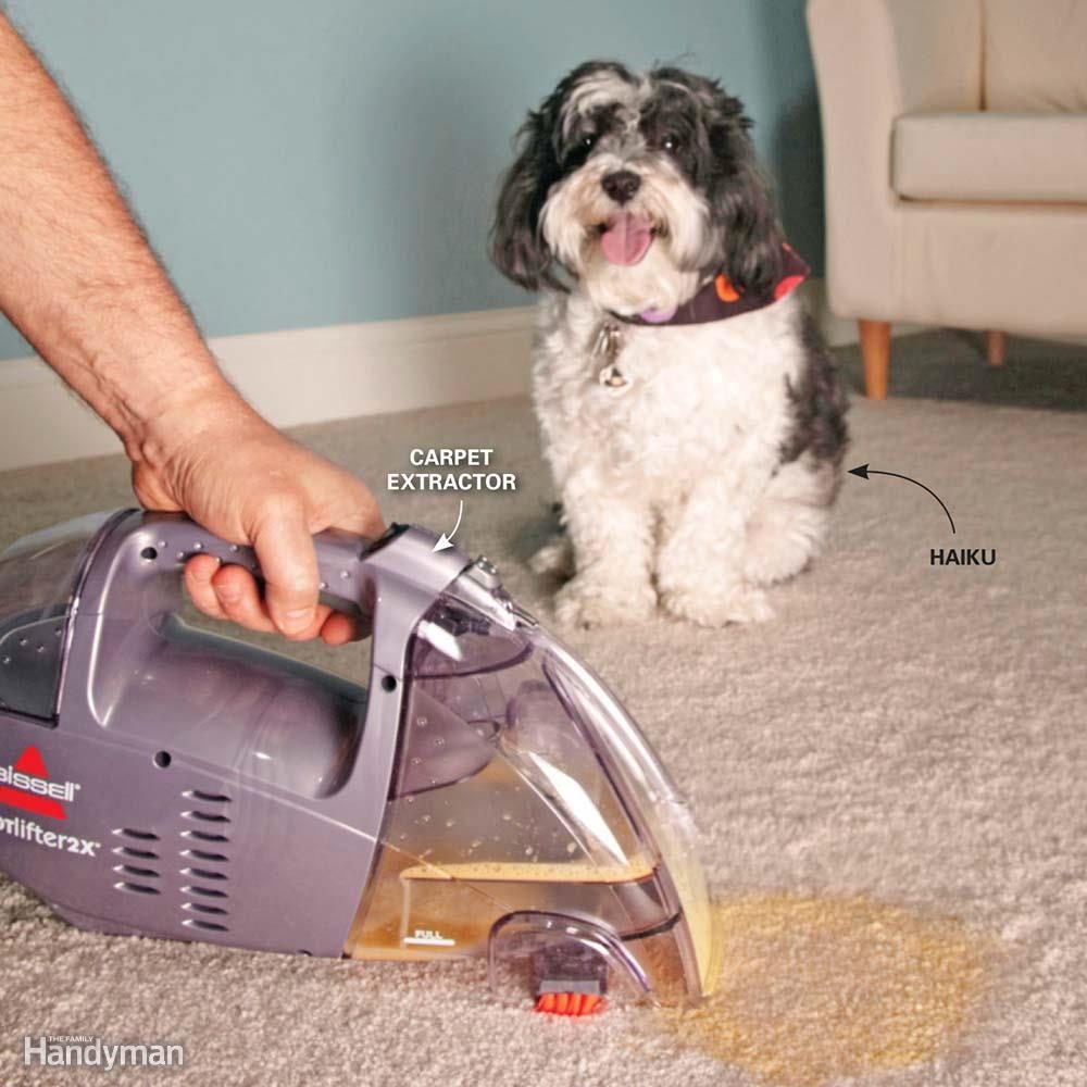 A Tool for Frequent Pet Accidents
