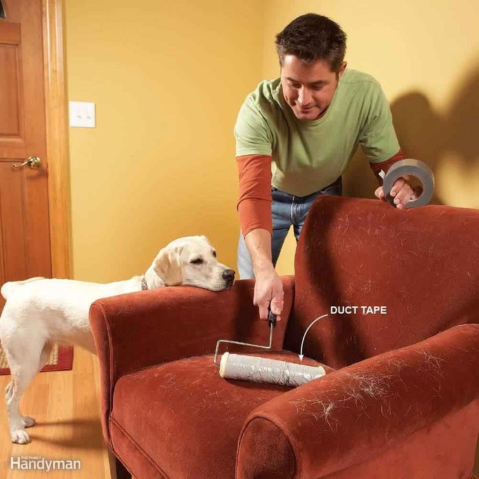 More Pets Tips