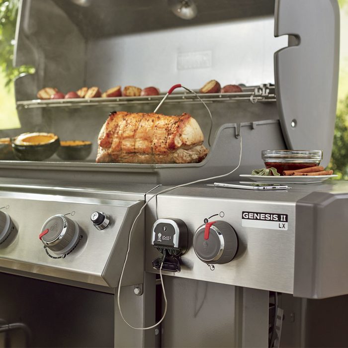 A grill is cooking a piece of meat and vegetables, with a temperature probe attached, in a backyard setting surrounded by greenery.