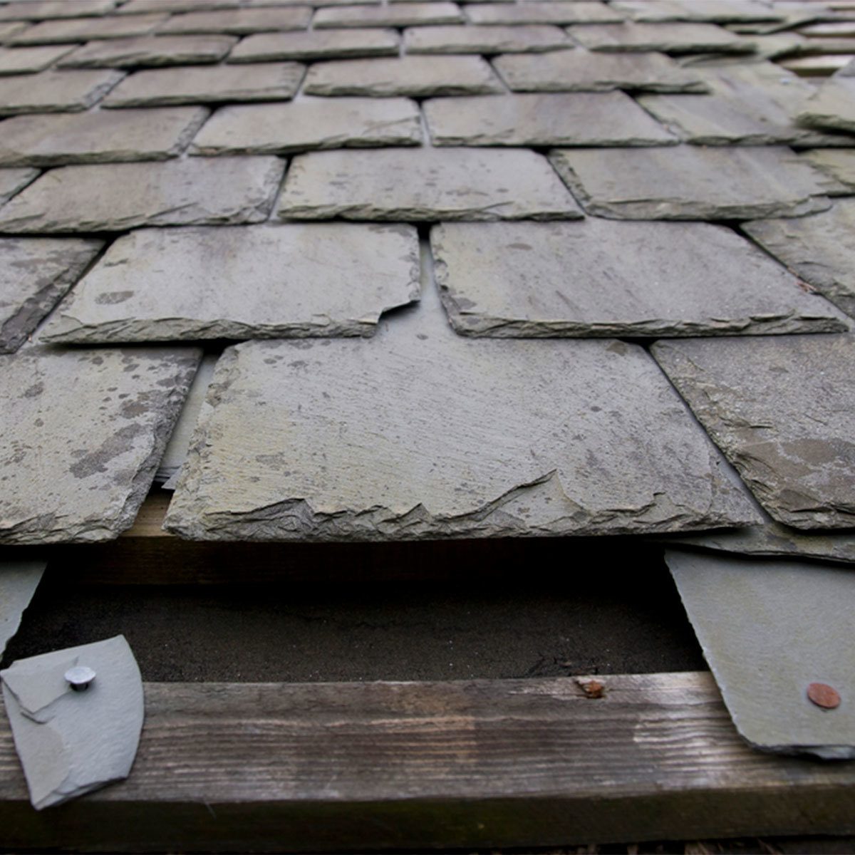 How to Scare Away Woodpeckers: Plugging Holes and Filling Insulation