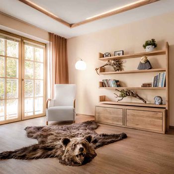 A bear skin rug lies on the floor in a cozy room, with a white chair and bookshelf filled with books against soft, light-colored walls.