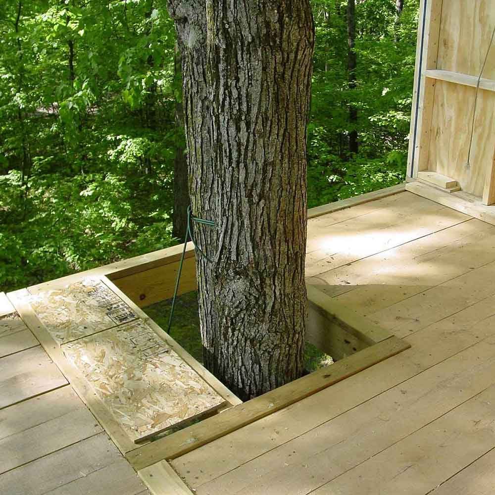 DIY Treehouse Building Tip 3: Don't Restrict Tree Growth