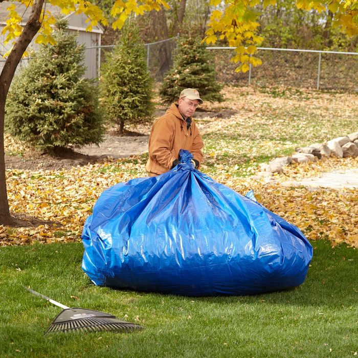 14 Tips for Dealing with Leaves Like a Pro | Family Handyman