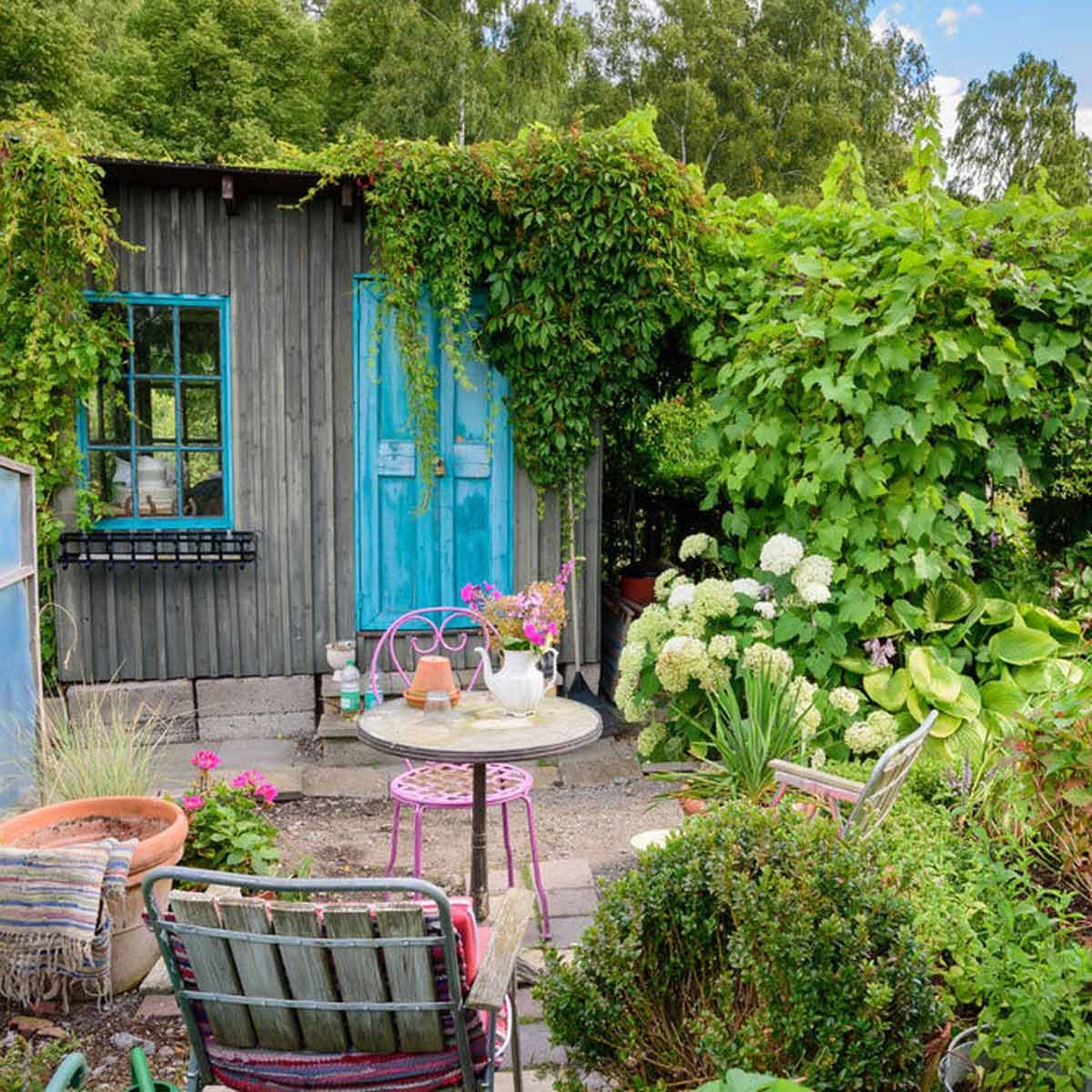 A small, rustic shed with blue doors is surrounded by lush greenery, featuring a table with chairs, potted plants, and flowers in a serene garden setting.