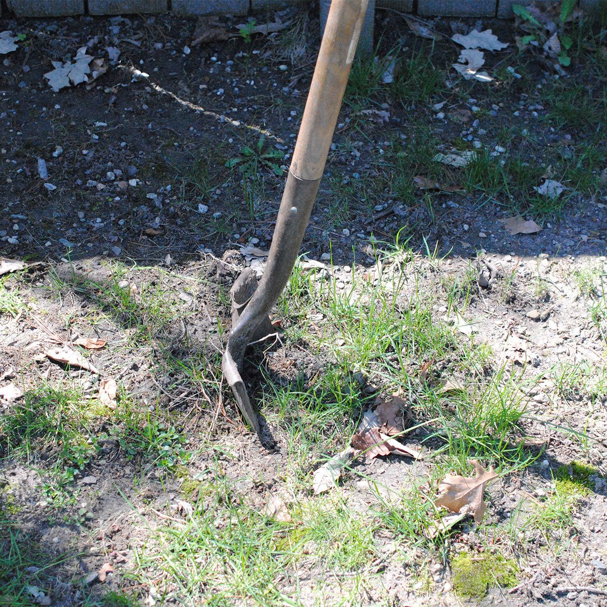 dig a hole
