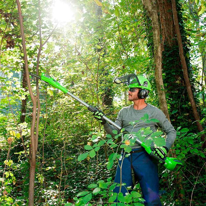 greenworks-pole-saw