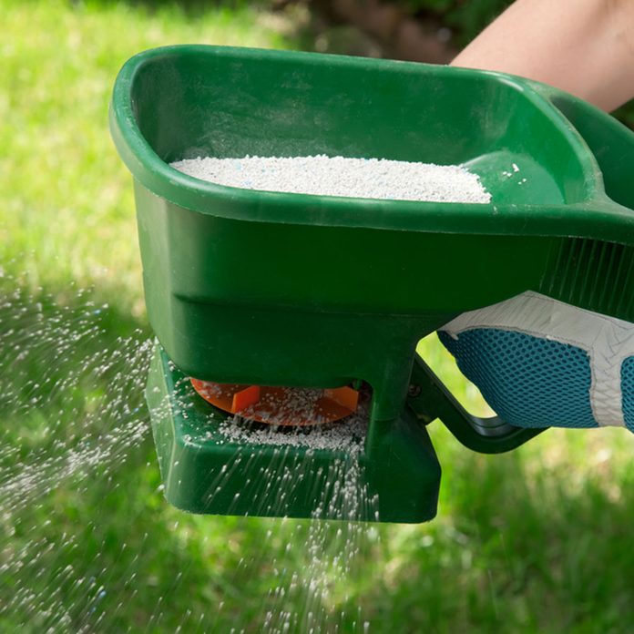 Fertilize lawn