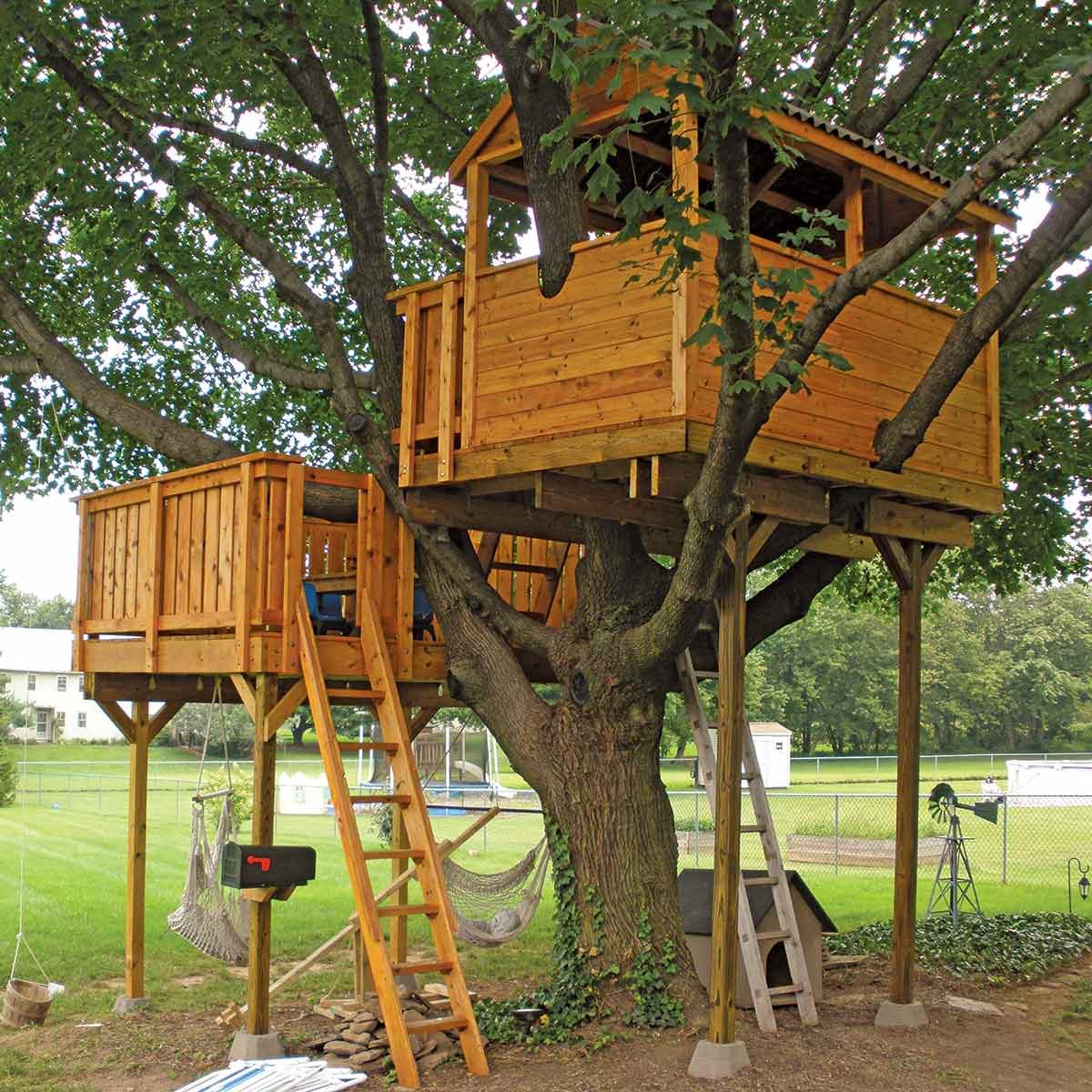 Envious Tree House