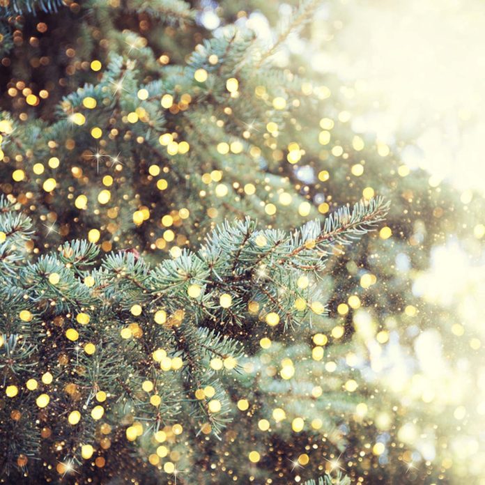 decoratingtips_503573392_09 christmas tree