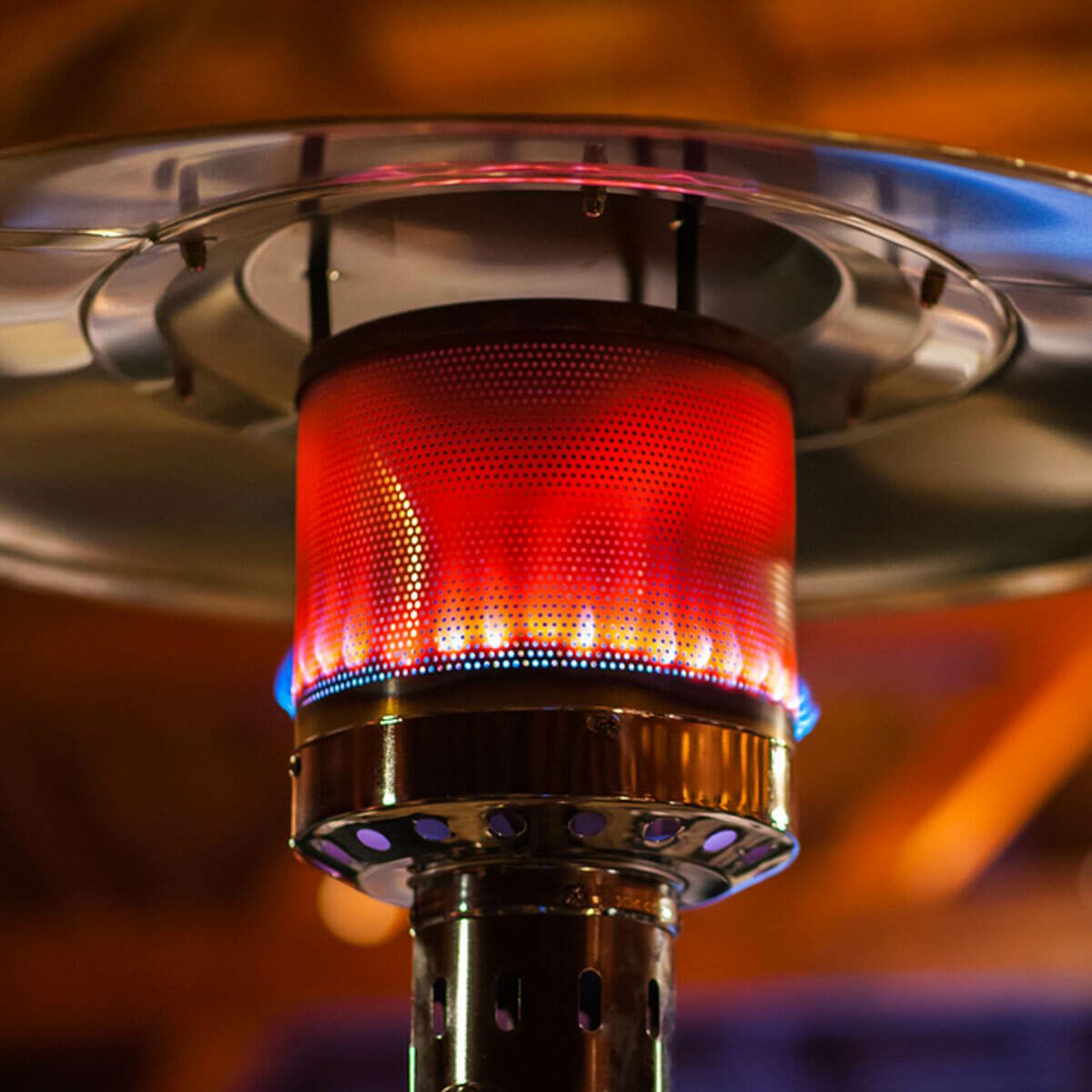Heat Can Also Kill Termites