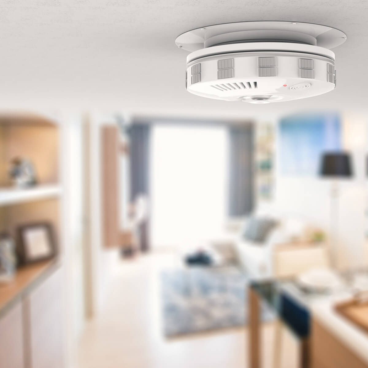 Check Your Smoke and CO Detectors