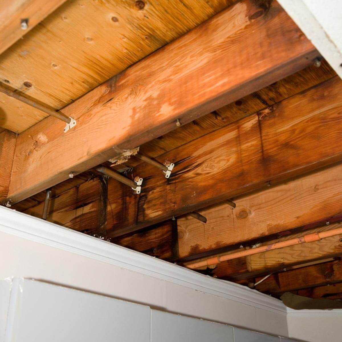 Replace Damaged Wood