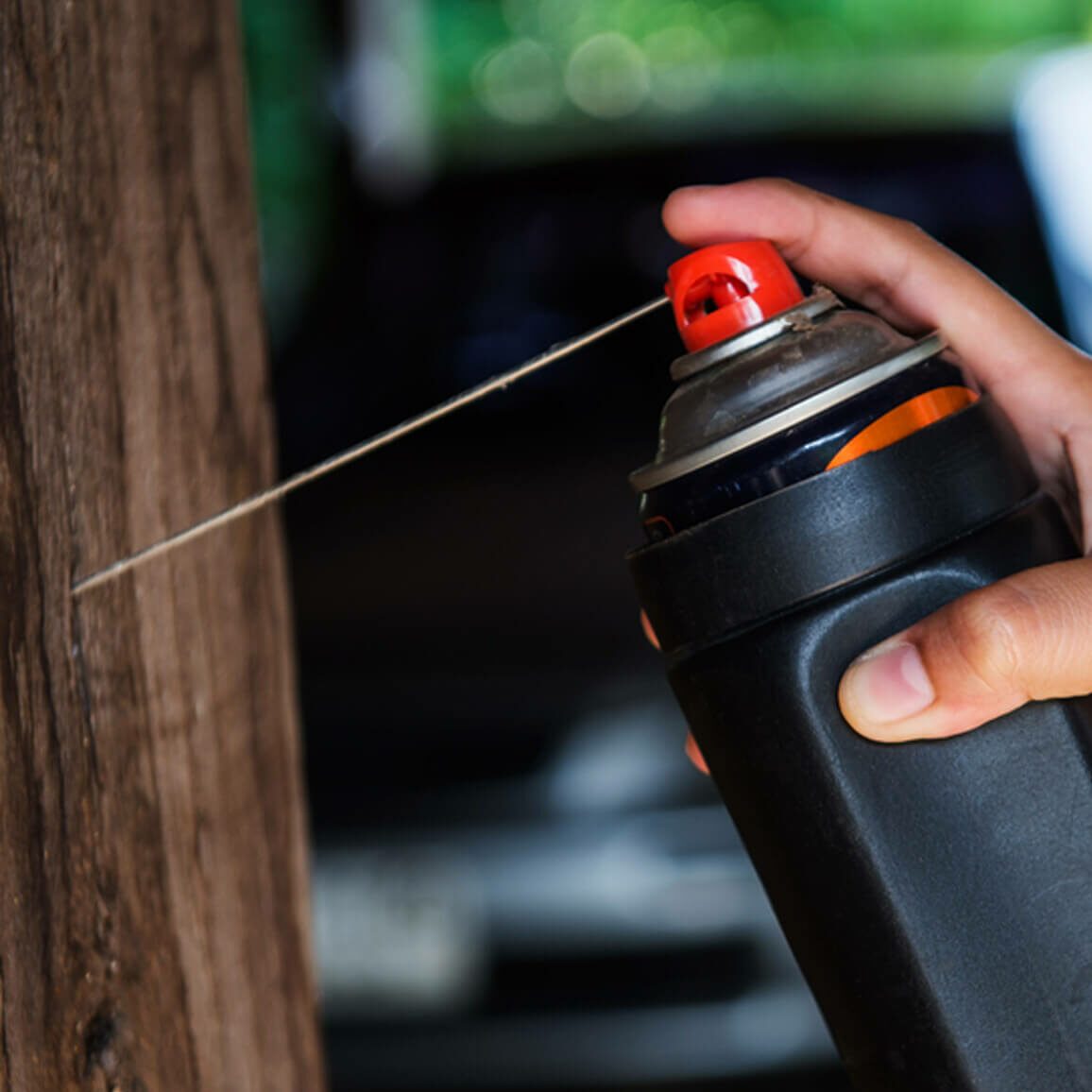 Use Repellent Termiticide on Safe Wood Structures