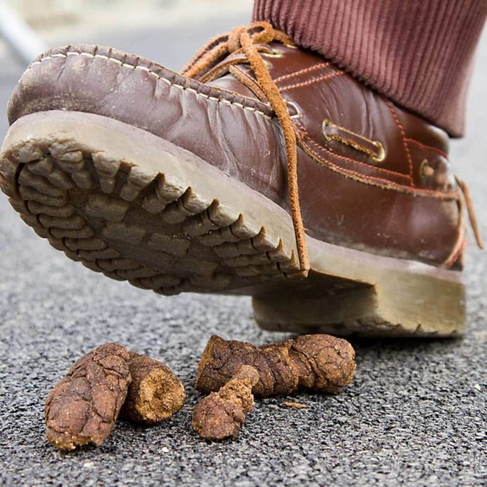 Boots shoes poop