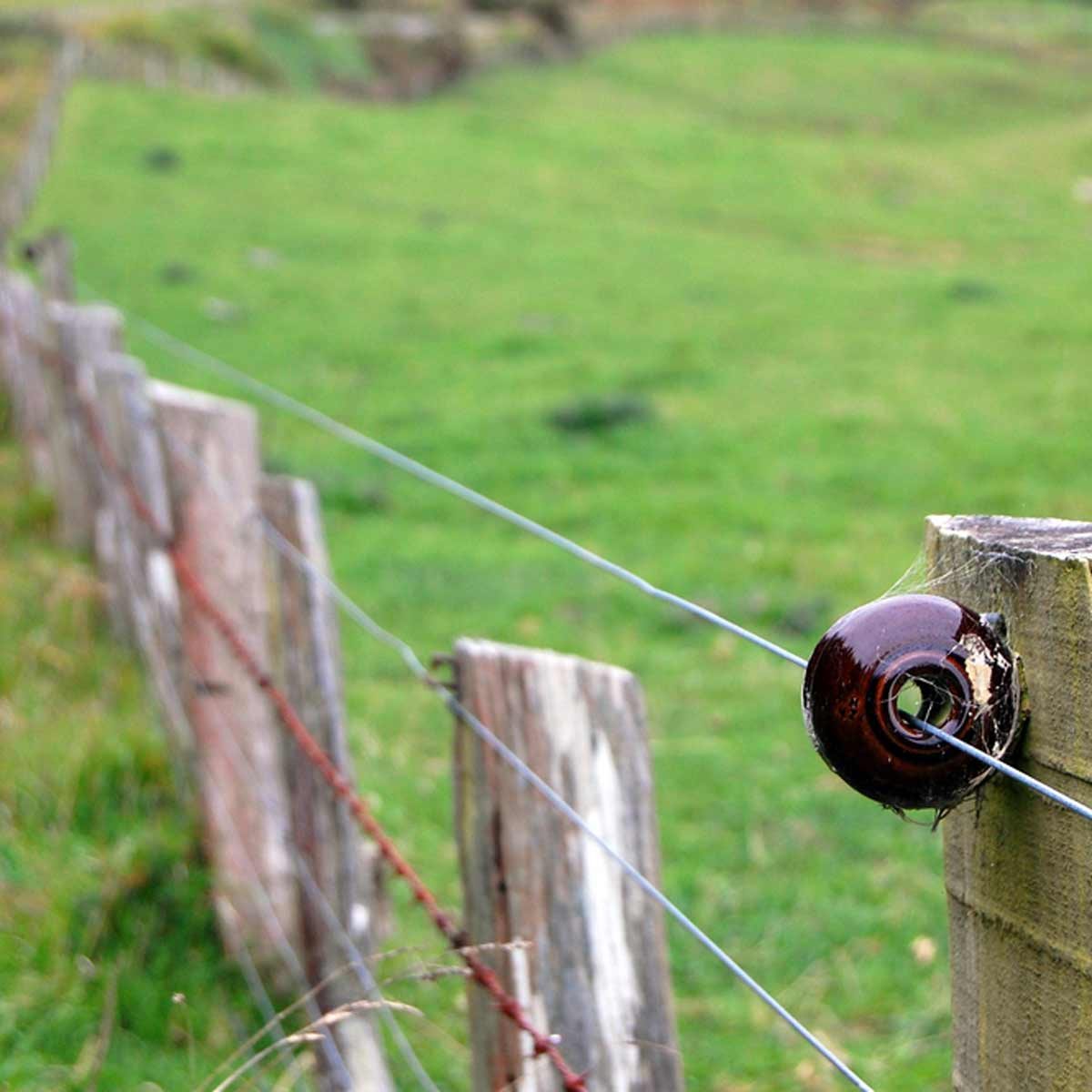 Prevent Deer From Electrocution