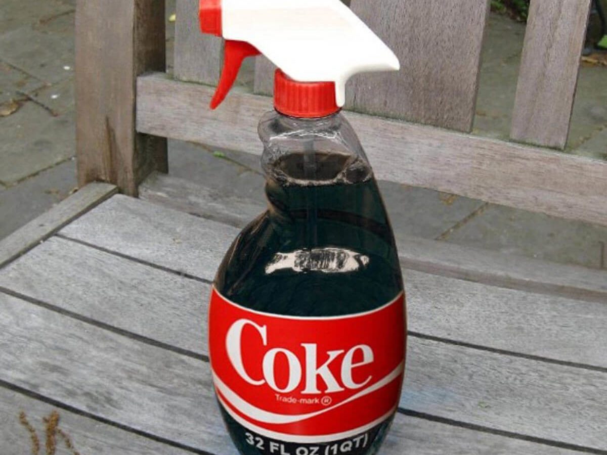 Window Cleaner