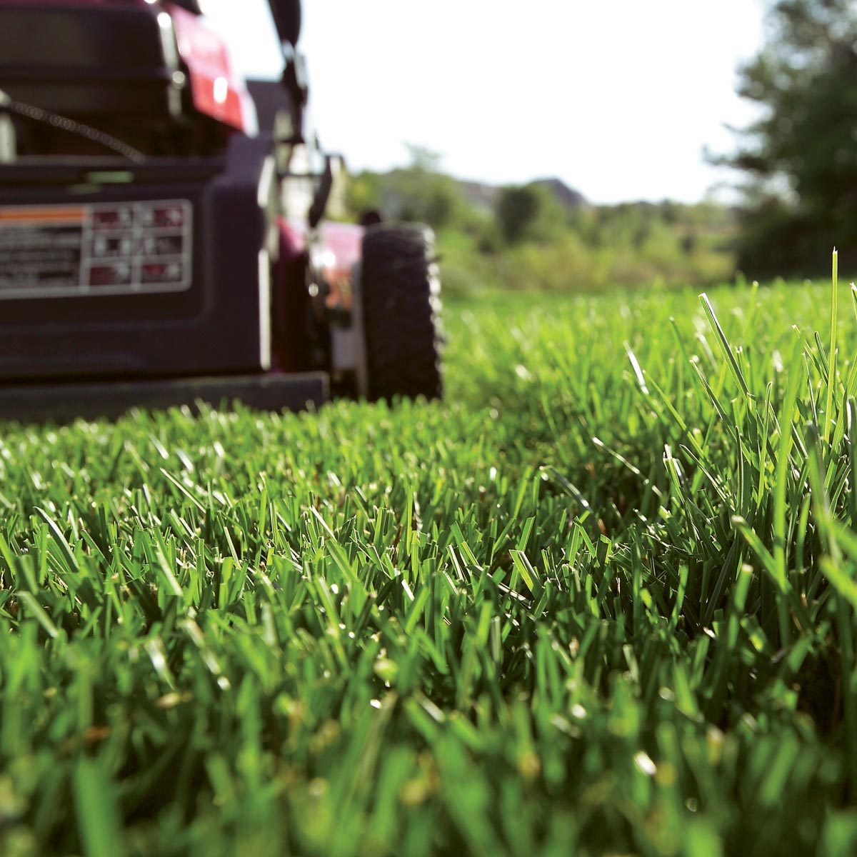 Lawn Care