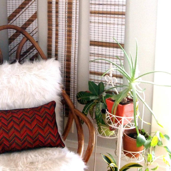bamboo-art blinds