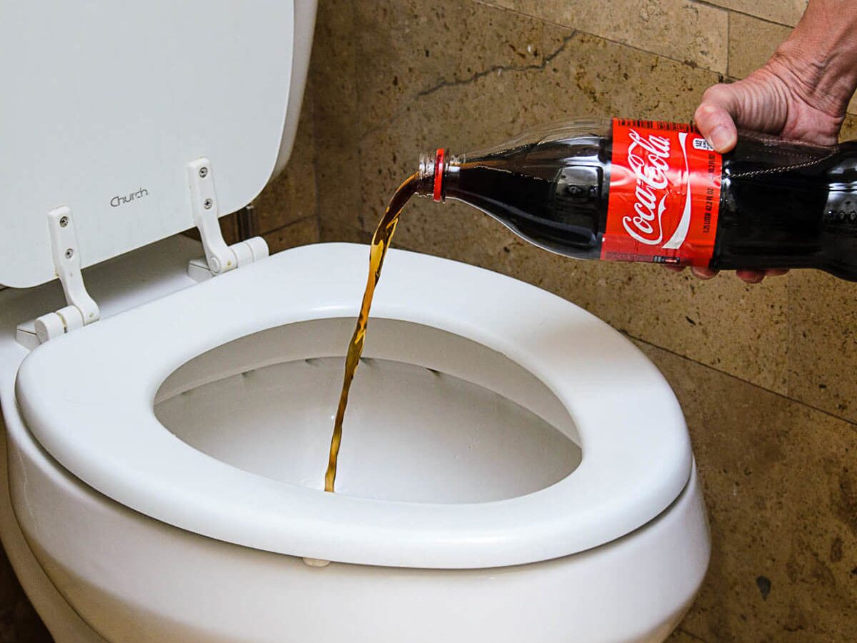 Clean a Toilet Bowl