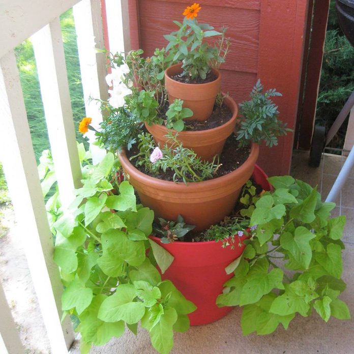 balcony flower tower plants