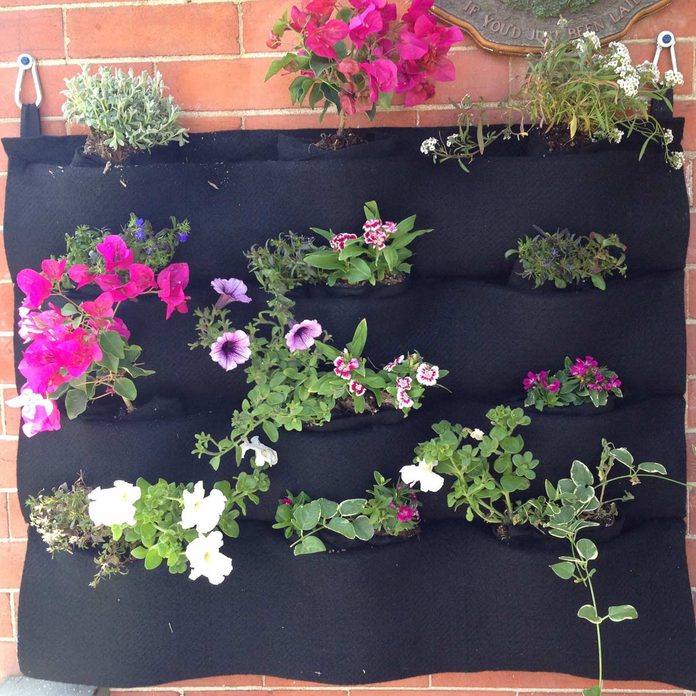 felt flower wall
