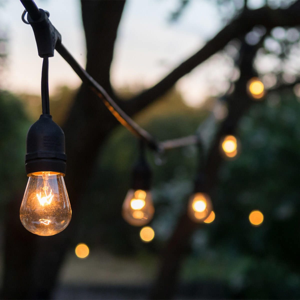 String lights glow warmly, illuminating a scene among trees during dusk, creating a cozy atmosphere with blurred background lights.