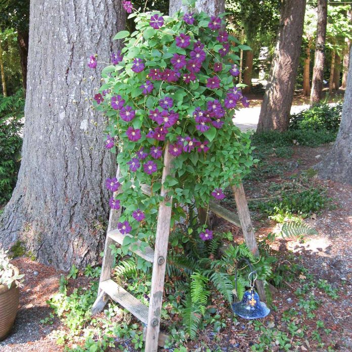 step ladder flower tower