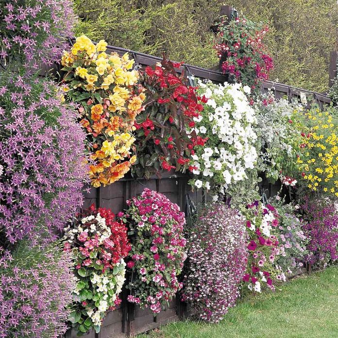 flower walls Fence with flowers