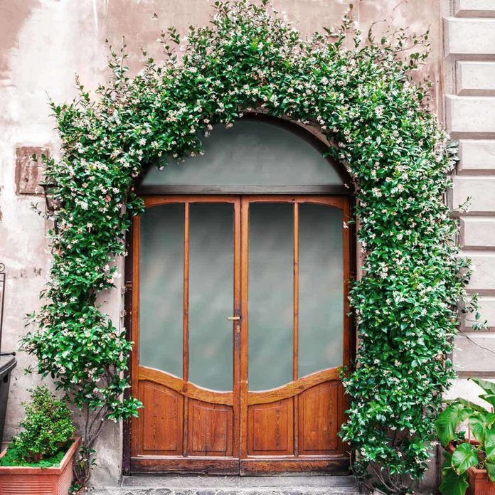 Double Front Doors