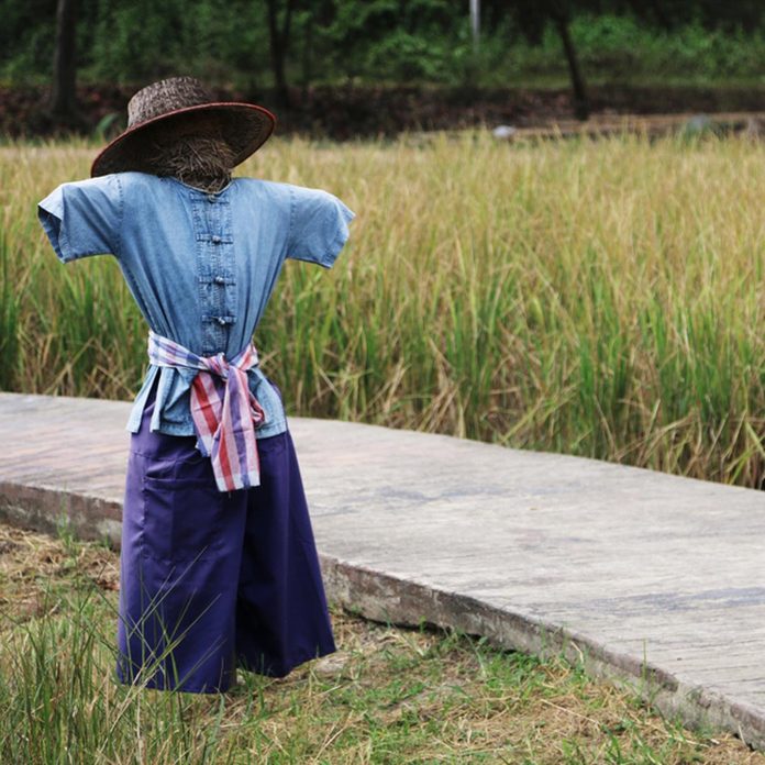 armless scarecrow