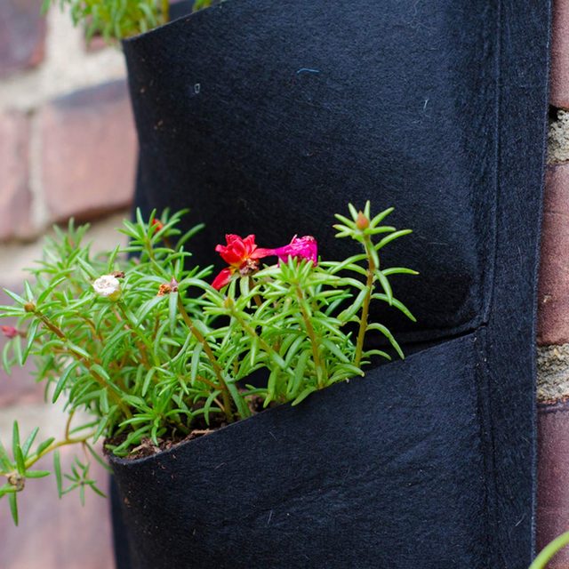 Hanging Flower Planter