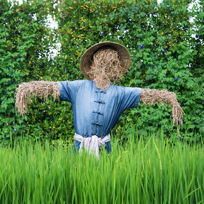 faceless scarecrow