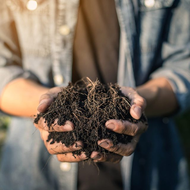 Try Compost Tea