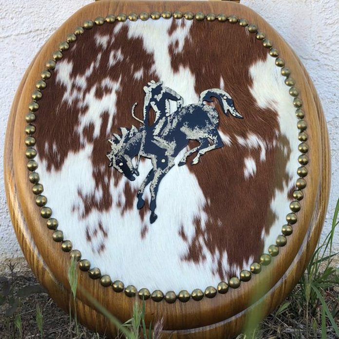 cowboy toilet