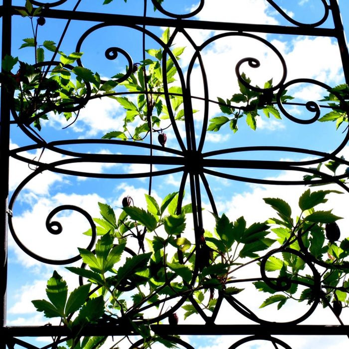 Hide AC Unit with an Iron Trellis