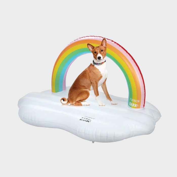 A dog sits on a floating cloud-shaped platform with a colorful rainbow arching above, creating a whimsical and playful scene.