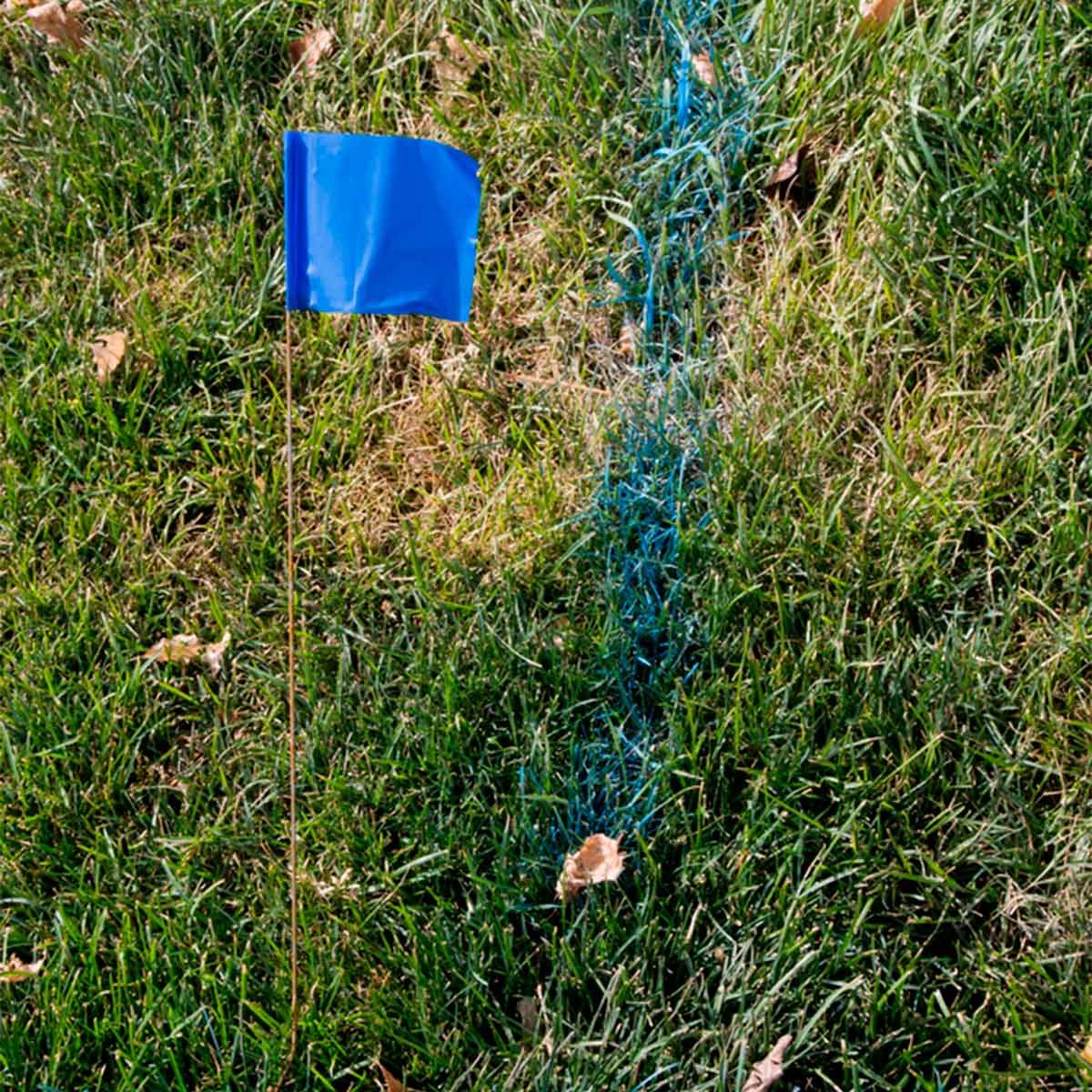 A blue flag stands upright in a grassy area, marking a blue line across the ground, with scattered dry leaves nearby.