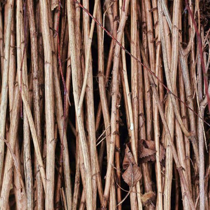 Sticks