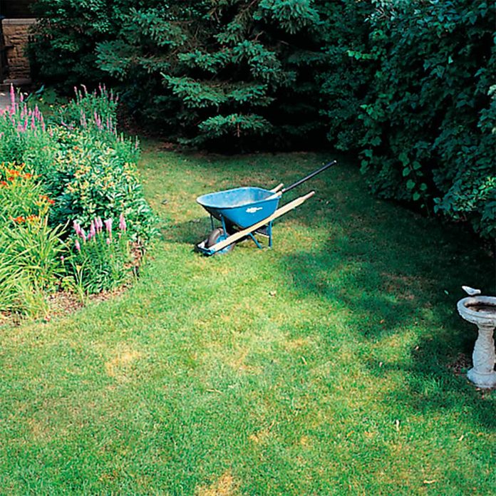 patio before