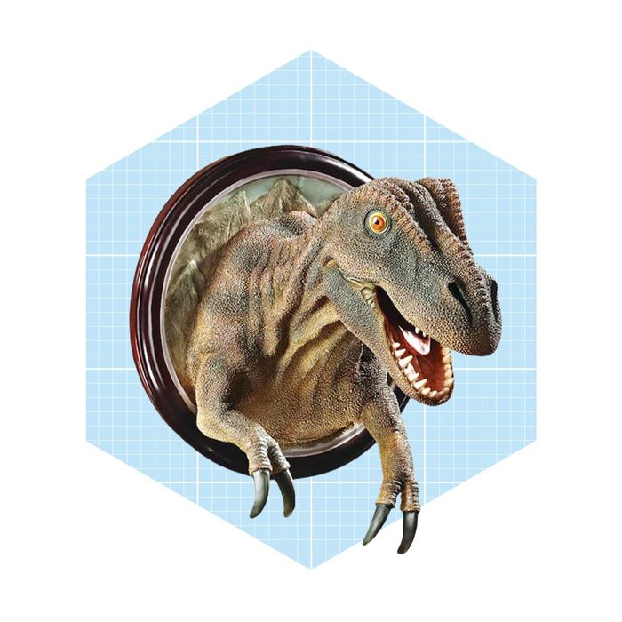 A dinosaur head breaks through a wall-mounted frame, depicting a fierce expression. The background features a light blue grid pattern, enhancing the 3D effect.