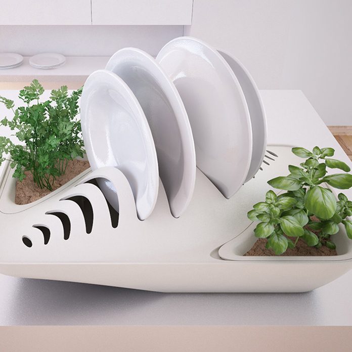 plants