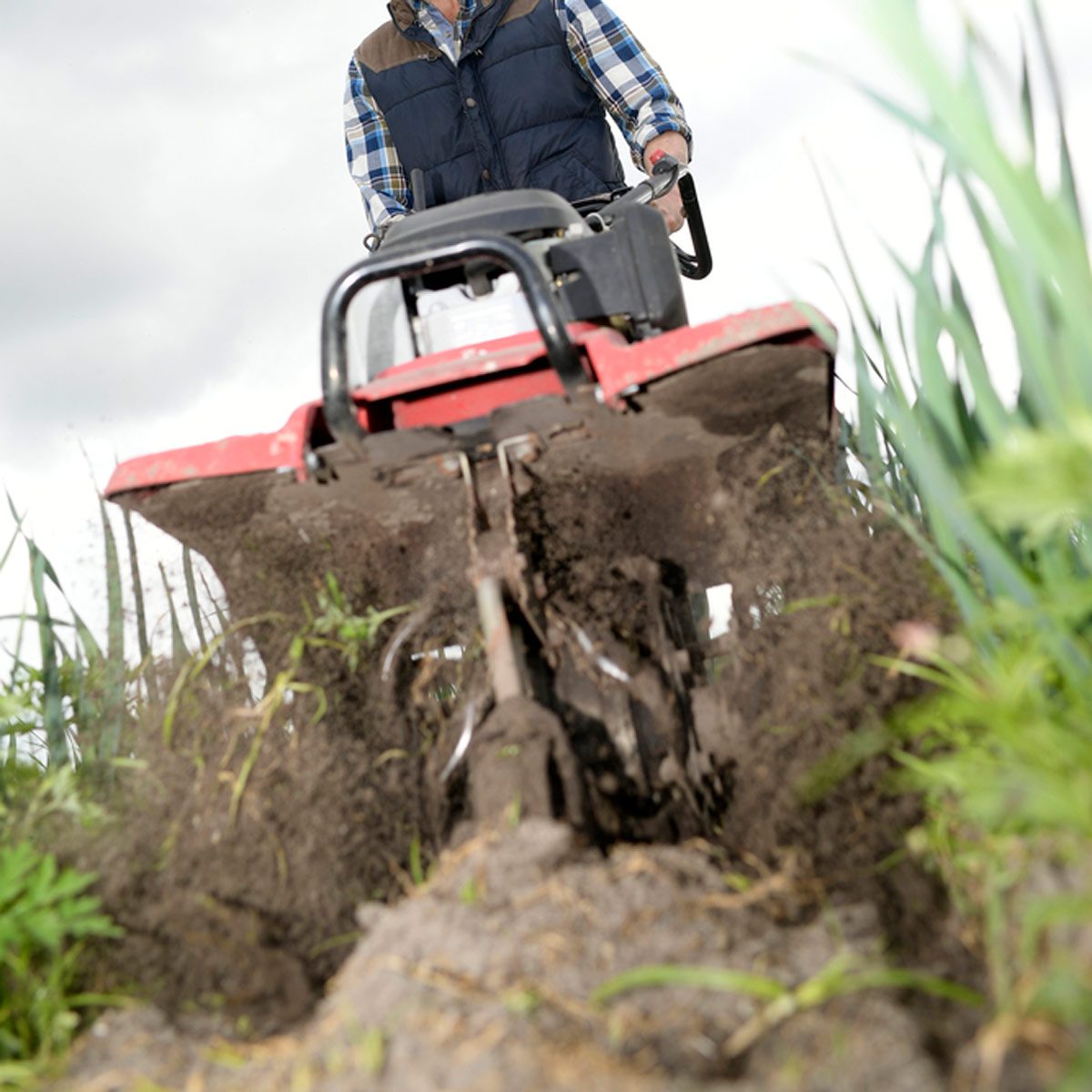 A person operates a tiller, breaking up soil in a field filled with green plants under a cloudy sky.