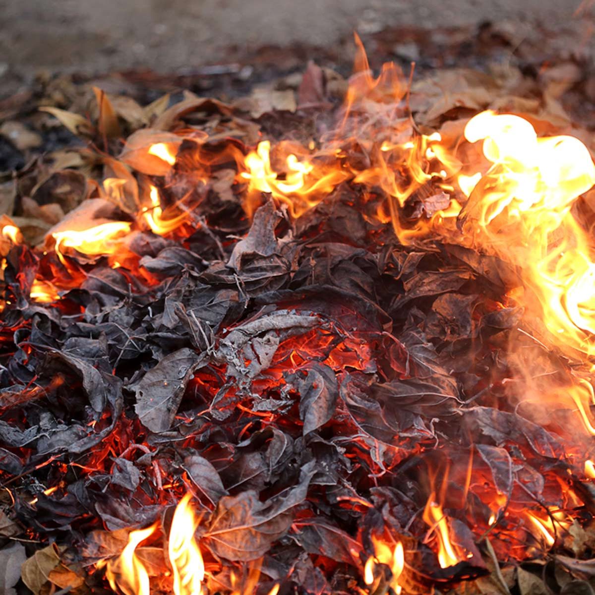 fire